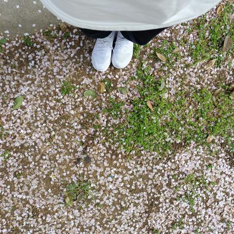 绝望鸭脖于2023-03-28 23:10发布的图片