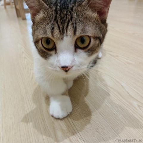 心想事成717于2023-06-25 14:24发布的图片