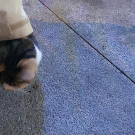 何必诗债换酒钱于2022-11-26 10:03发布的图片