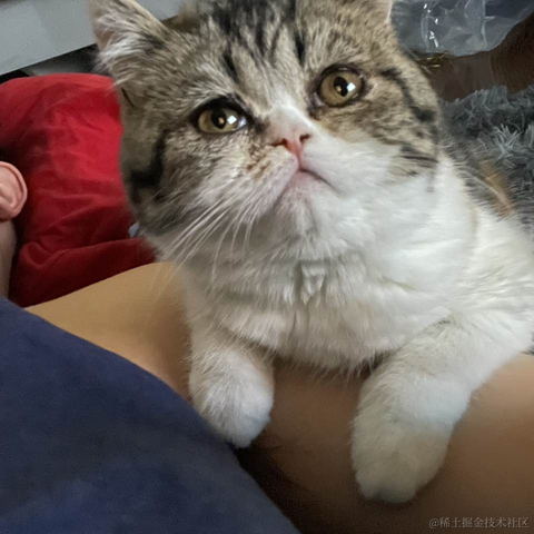 豆饼于2021-09-28 09:25发布的图片