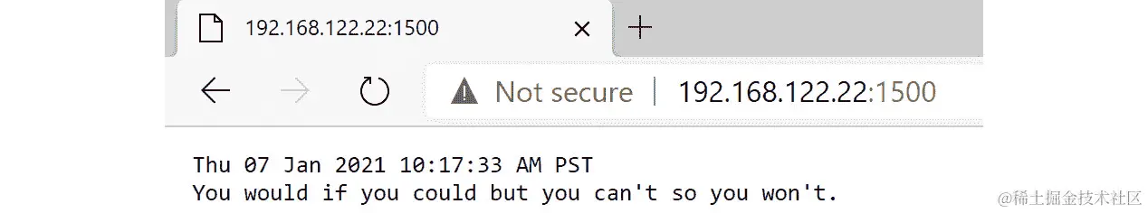 图 3.10 - 向 Netcat 网站添加一句谚语