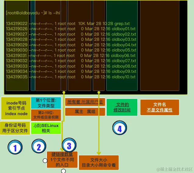 image-20240125175210529