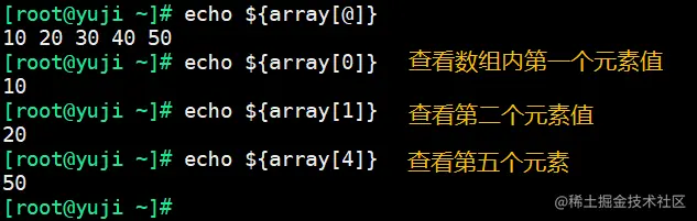 3-2 数组单个元素.png