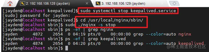 image-20210204202050234