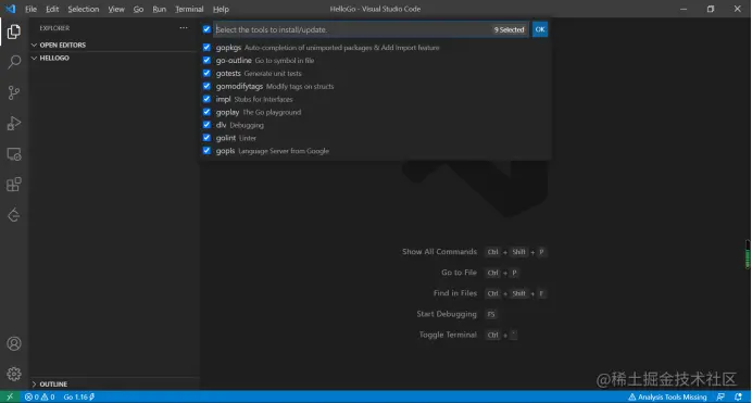 手把手教你vscode配置golang开发环境的步骤_手把手教你vscode配置golang_09