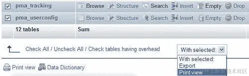 选择性数据库打印视图