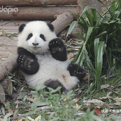 秉烛夜游于2021-09-30 09:06发布的图片