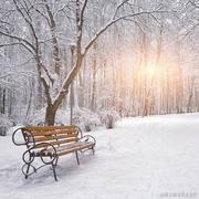 花开富贵笑口常开的个人资料头像