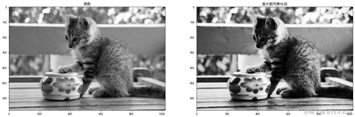 [外链图片转存失败,源站可能有防盗链机制,建议将图片保存下来直接上传(img-vkJiG6Rc-1637754593314)(output_17_1.png)]