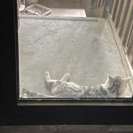 夜果子于2023-06-20 11:50发布的图片