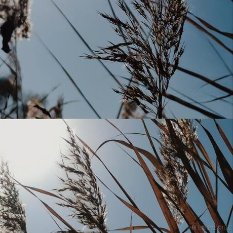 jzsst于2022-11-24 17:57发布的图片