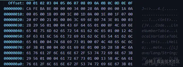 （在 Visual Studio Code 里使用 hexdump for VSCode 插件查看到的内容）