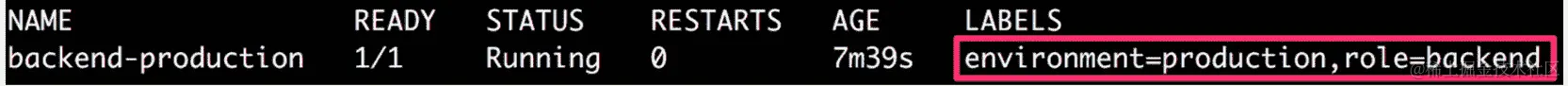 图 6.14：验证后端生产 pod 的标签