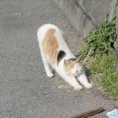 李小贱于2021-07-17 16:42发布的图片