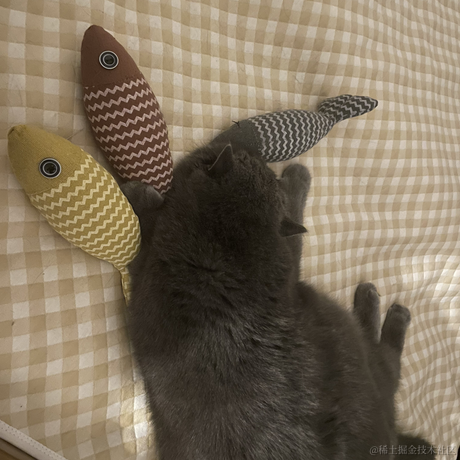 DD_于2023-05-21 01:02发布的图片