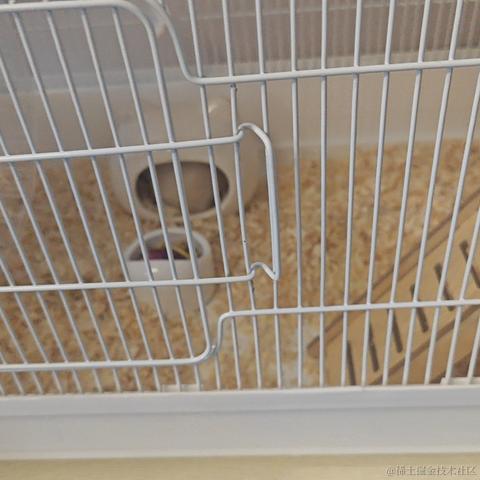 爱吃土豆丝呦于2024-06-23 19:39发布的图片