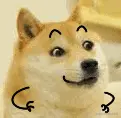æå¨dogeè¡¨æ