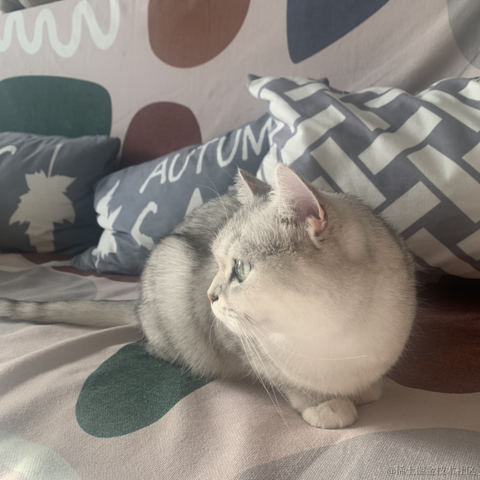 小蝴蝶于2021-12-25 14:16发布的图片