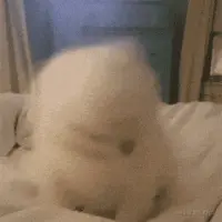 3C717BA45856AD3B9EF1887255274A8C