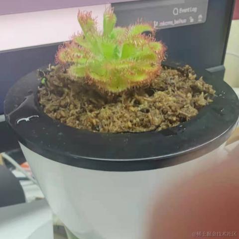 是黄天师呀于2021-04-29 17:13发布的图片