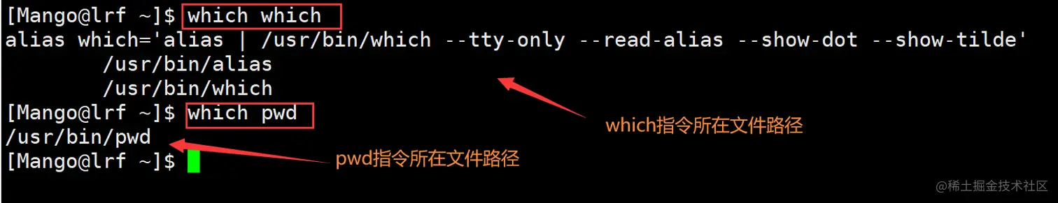 image-20220301192815160