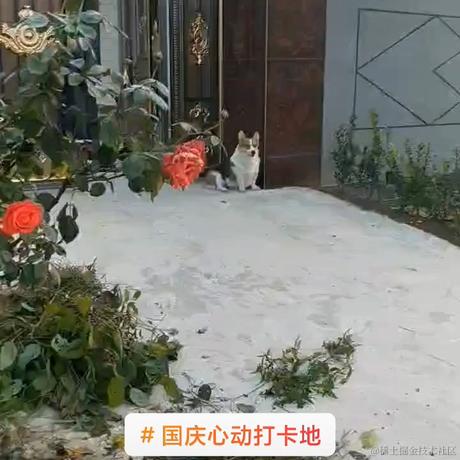 洛克克于2023-06-06 18:18发布的图片