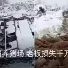 斜日向晚于2022-11-19 22:40发布的图片