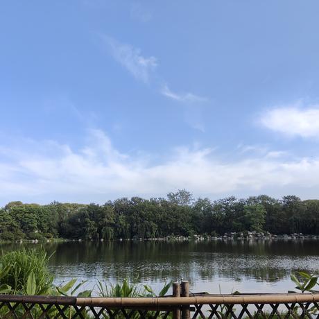 Codess于2023-06-01 08:27发布的图片