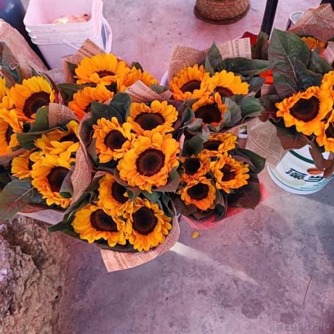 衿儿今天吃什么于2022-11-25 14:52发布的图片