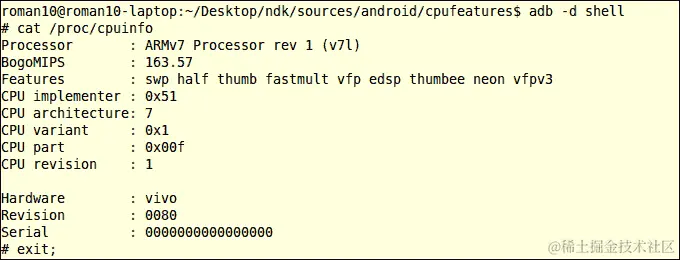关于 CPU 特性检测的更多信息