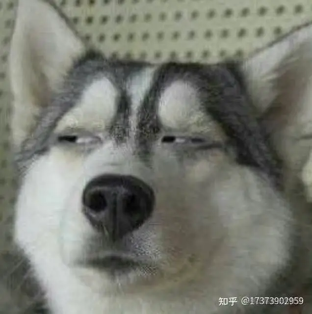 1651cbfd336d45bb12a38491cc85061d