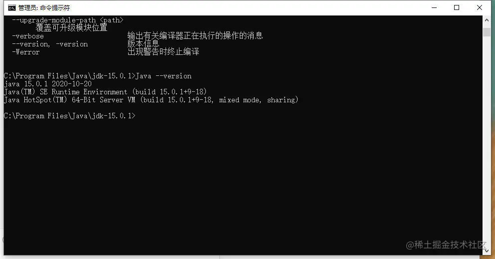 java --version.jpeg