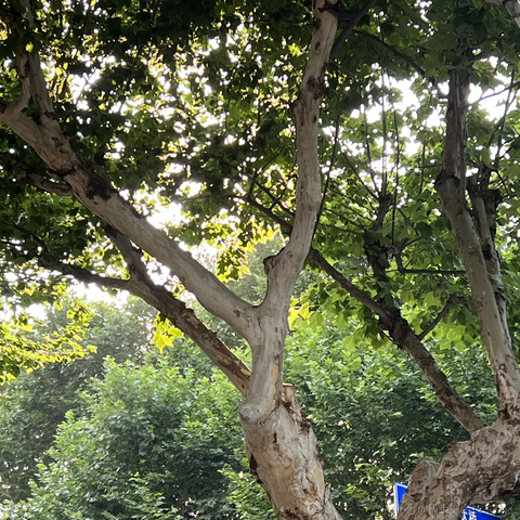 碗里没有yui于2023-06-21 10:12发布的图片