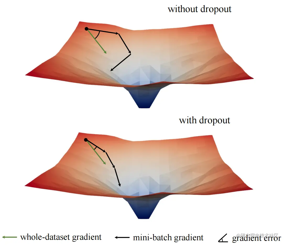 Dropout in early training