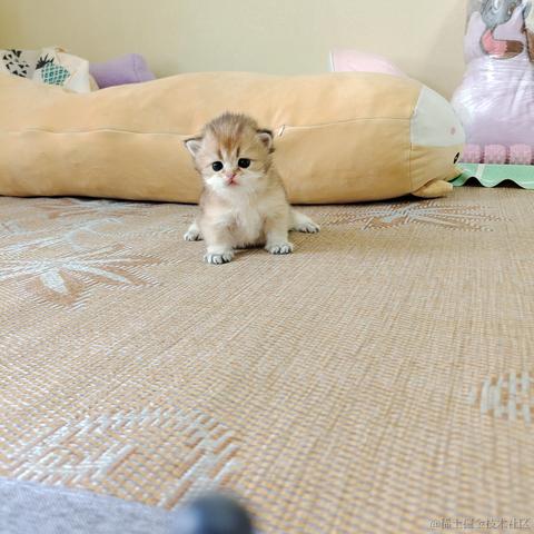 龍佛于2023-06-02 11:23发布的图片