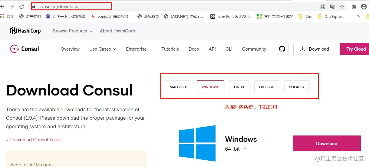 image-20210310232033732
