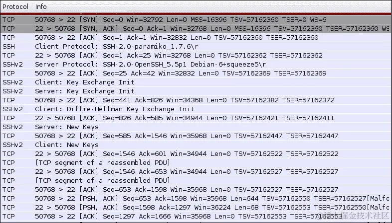 检查 SSH 数据包