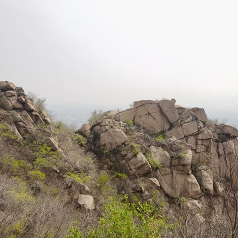 stwang于2023-04-09 17:20发布的图片