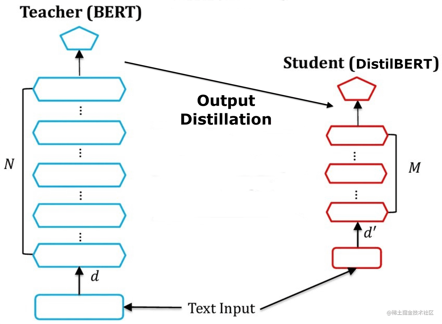 DistilBERT training illustration