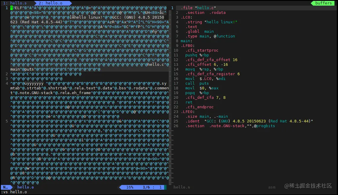 image-20220211141559481