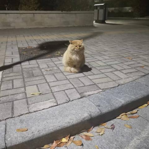 嘉然今天吃团子于2022-11-21 22:36发布的图片