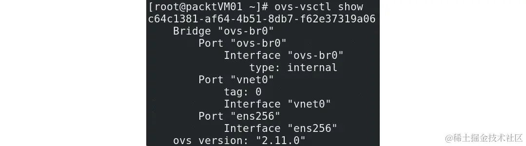 图 4.13 – ovs-vsctl 显示输出