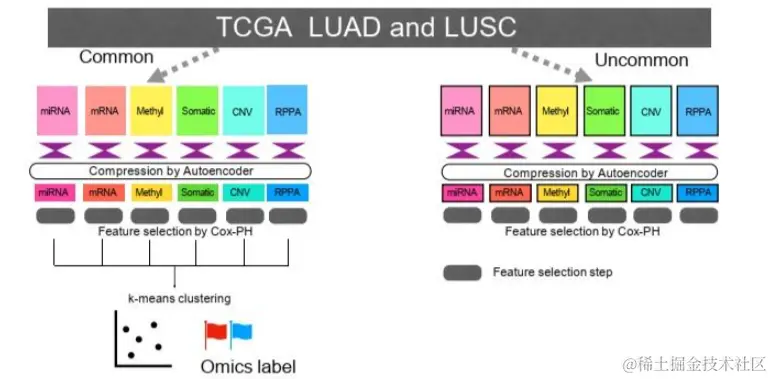 image-20240320152739871