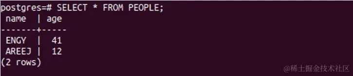图 7.4：SELECT 语句的输出