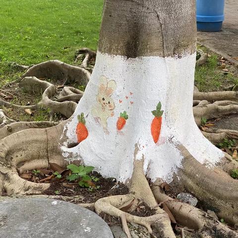 穿10号的赵睿于2023-04-19 21:31发布的图片