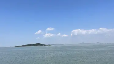 三元一次方程计算器 掘金