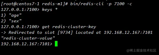 image-20221218094819882