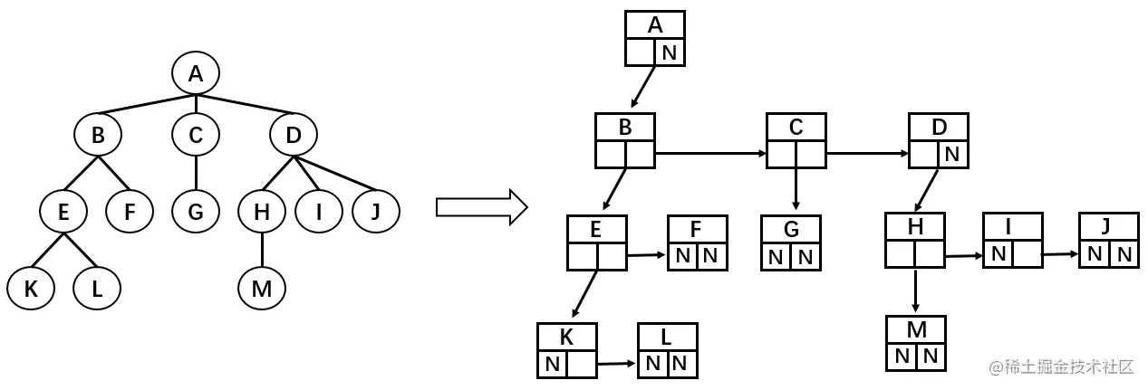 image-20200229232805477