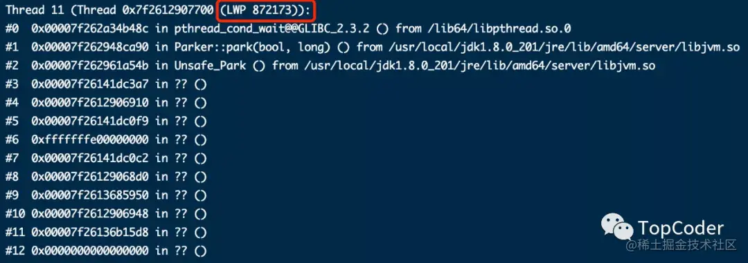image-20210320012316759
